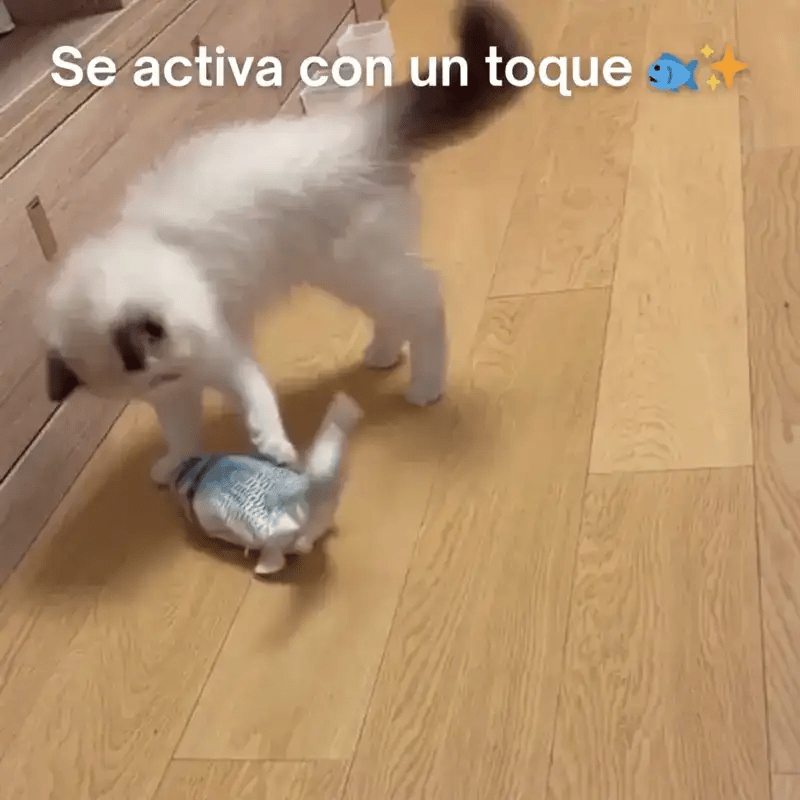 El Pez Saltarín